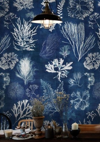 ALGAE Navy blue